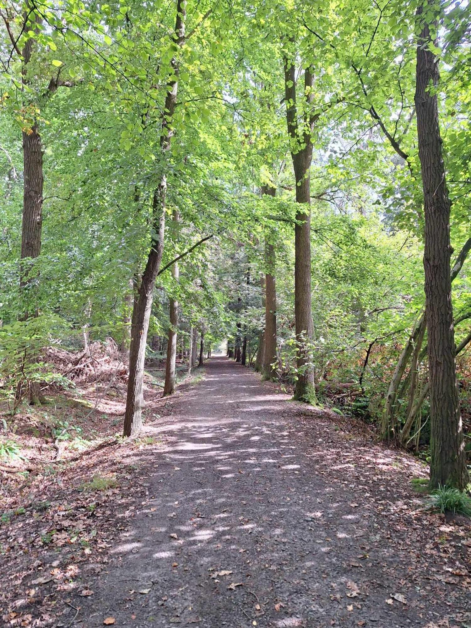 Chalet In Ursel Aalter Zewnętrze zdjęcie